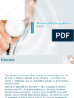 Pulmon Uremic