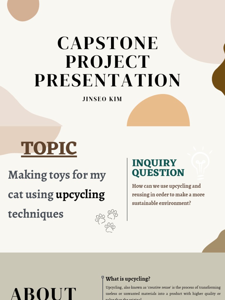 Capstone Project PDF Toys