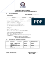 FORMATO INF - PARCIAL y FINAL PRACTICA EMPRESARIAL UNICEN II 2017