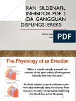 Materi 1. Peran Sildenafil & Inhibitor PDE 5 Pada Gangguan DE-1