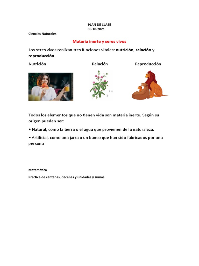 Funciones Vitales y Materia Inerte | PDF