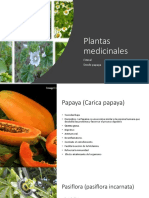 Plantas medicinales papaya pasiflora perejil pulmonaria prodigiosa palo mulato melisa milenrama