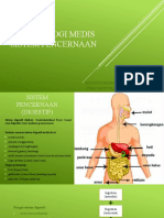 Terminologi Medis Sistem Pencernaan