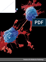 Bio SB Antibodies Reagents 2014 Femg