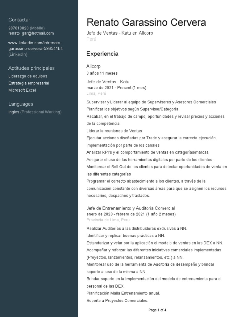 CV+ +Renato+Garassino | PDF | Marketing | Economias