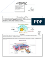 8°-Básico Nutrición Celular Ciencias LR