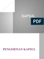 Kapsul 01