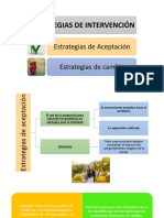 Estrategias de Intervención.