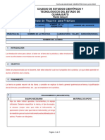 Formato-Reporte de Prácticas-123