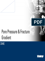 DWE - Pore Pressure & Fracture Gradient