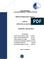 Derecho Internacional: Efectos de las Obligaciones