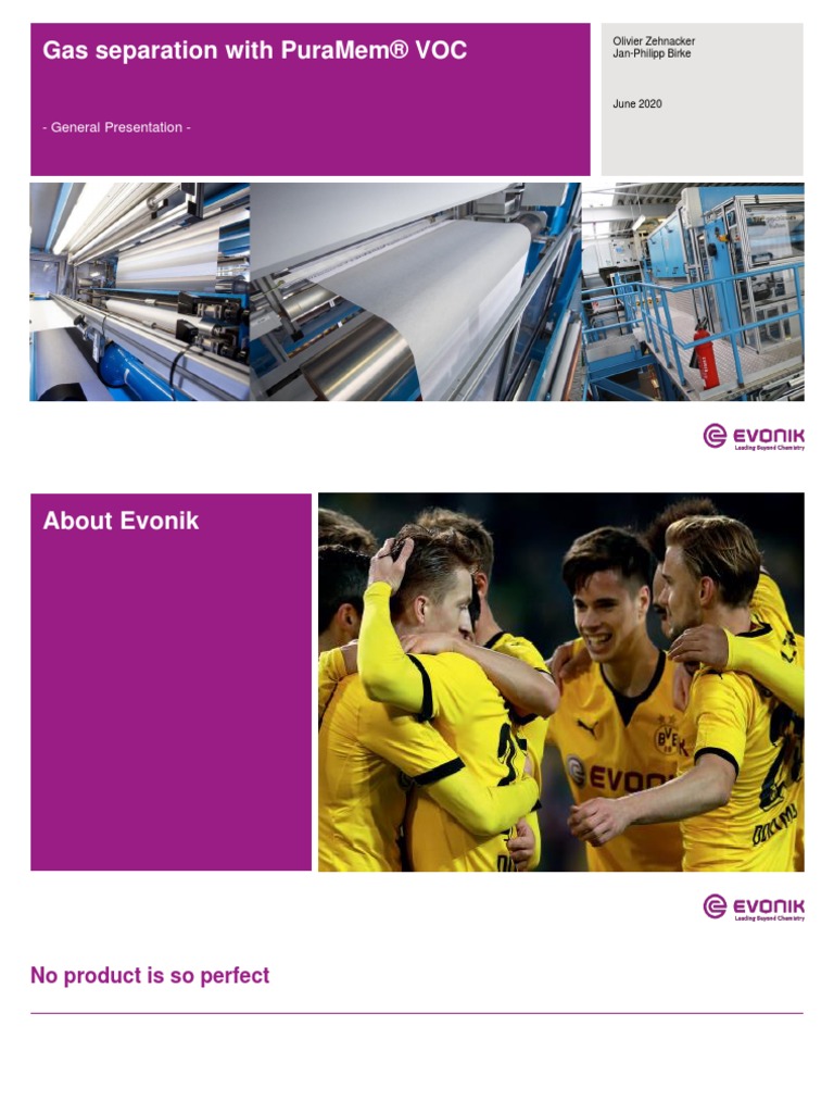 PURAMEM VOC General Presentation | PDF | Liquefied Petroleum Gas ...