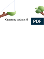 Capstone Update 3