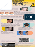 Infografía de Las Malformaciones Del Oído