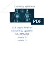 SandovalMontalvan Josue M16S3AI5