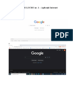 Fisa de Lucru Nr. 1 Internet Si Comunicare
