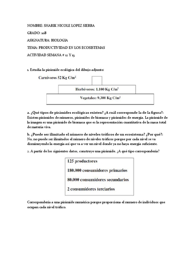 Productividad en Los Ecosistemas PDF