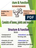 Physical Therapy Medical Terminology