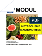 Modul Makronutrien - Part 7 (Lanjutan Metabolisme Protein)