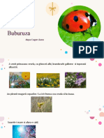 Buburuza