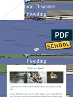 Natural Disasters Flooding Information PowerPoint