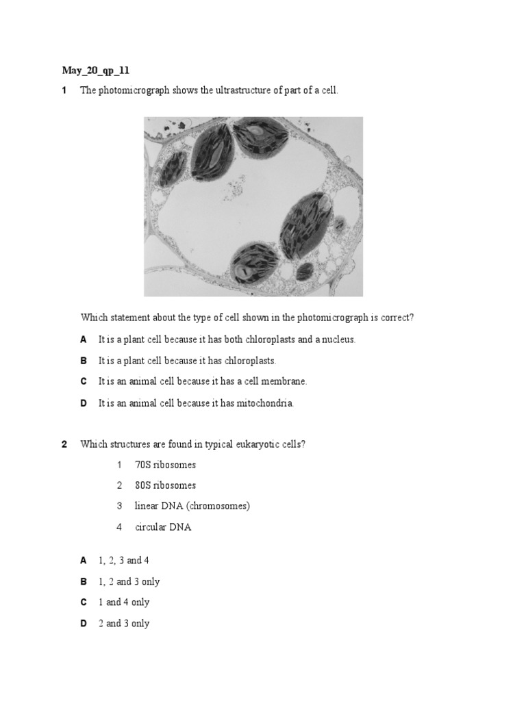 Past Questions Cells N Biomolecules A Level Biology | PDF | Cell ...