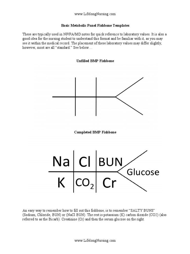 understanding-common-laboratory-test-result-formats-basic-metabolic