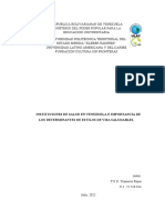 Instituciones de Salud en Venezuela e Importancia de Los Determinantes de Estilos de Visa Saludables.