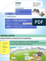 Clase Nº8 Ciencias 4ºB - SMena - Compressed