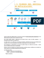 Tema (2) Células y Tejidos Del SI (Inmunología)