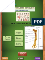 Sistema Oseo - Conclusion Iii