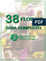 EBOOK GUIA DOS FLORAIS - v3