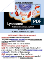 Lysosomes Ribosomes &cell Inclusion (L3)