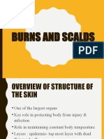 Burns Reviewed