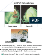 Materi 10. Dna Rekombinan