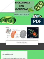 Mitokondria, Kloroplas Dan Fotosintesis