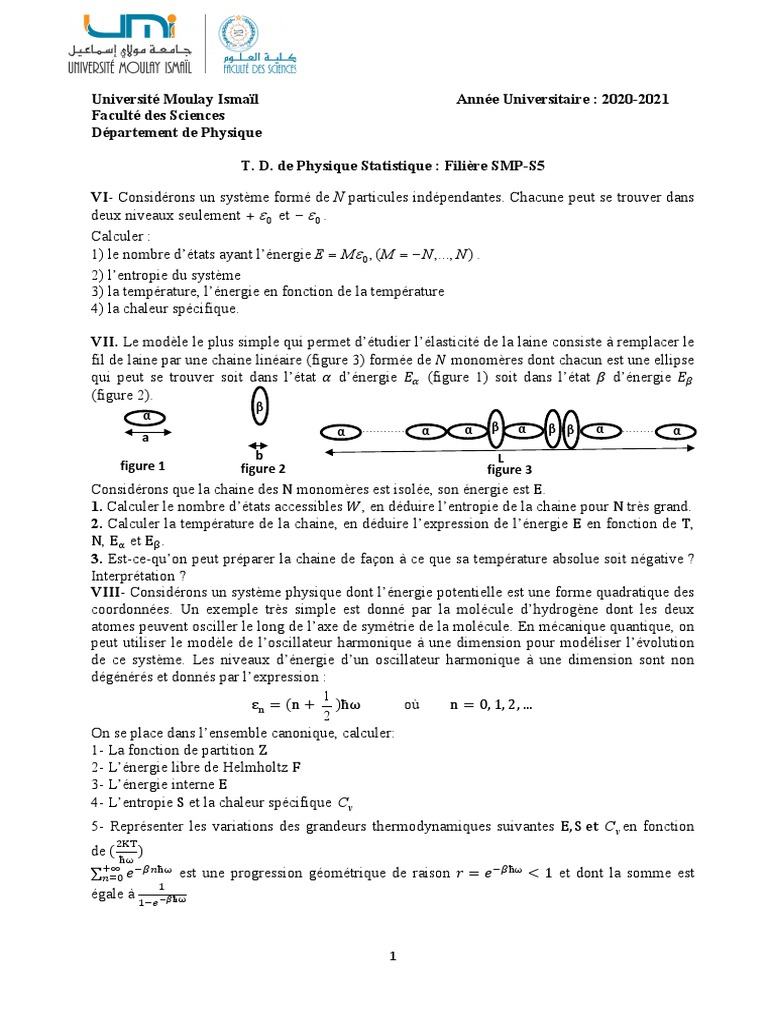Physique Statistique : Entropie et Énergie | PDF | Température | Entropie