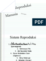Sistem_Reproduksi_Manusia