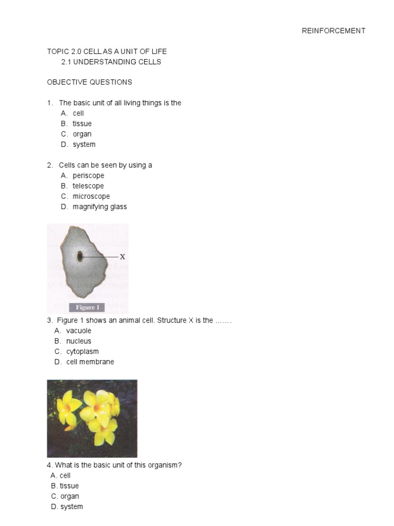 Plan J Modul Chapter 2 Reinforcement | PDF | Tissue (Biology) | Cell ...