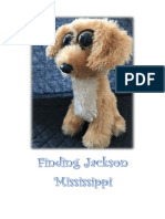 Finding Jackson Mississipppi
