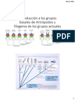 1 Intro&Filogenia DYFA 1