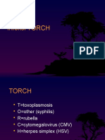 Torch PPT Pediatri