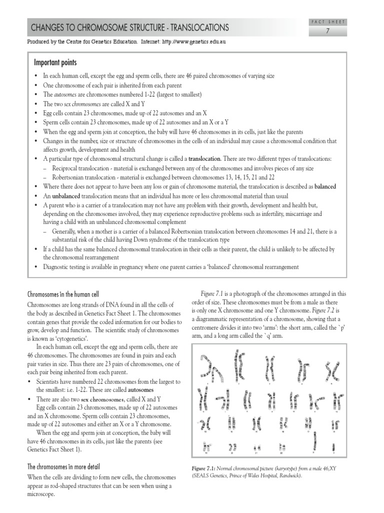 Changes To Chromosome Structure - Trans Locations | PDF