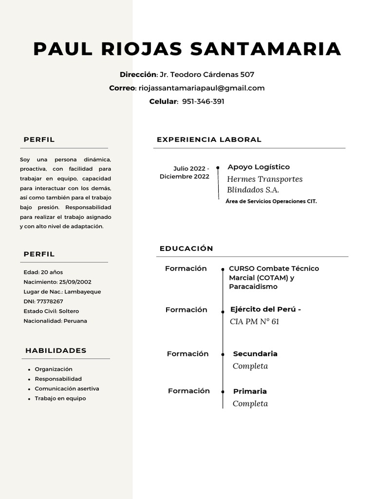 Perfil Profesional de Paul Riojas | PDF
