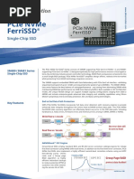 PCIe NVMe FerriSSD PB EN