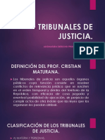 ORGANIZACION DE LOS TRIBUNALES DE JUSTICIA