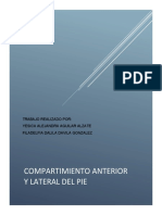 Compartimiento Anterior y Lateral Del Pie