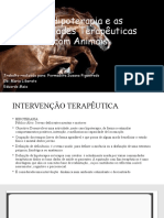 A Hipoterapia e As Qualidades Terapêuticas Com Animais