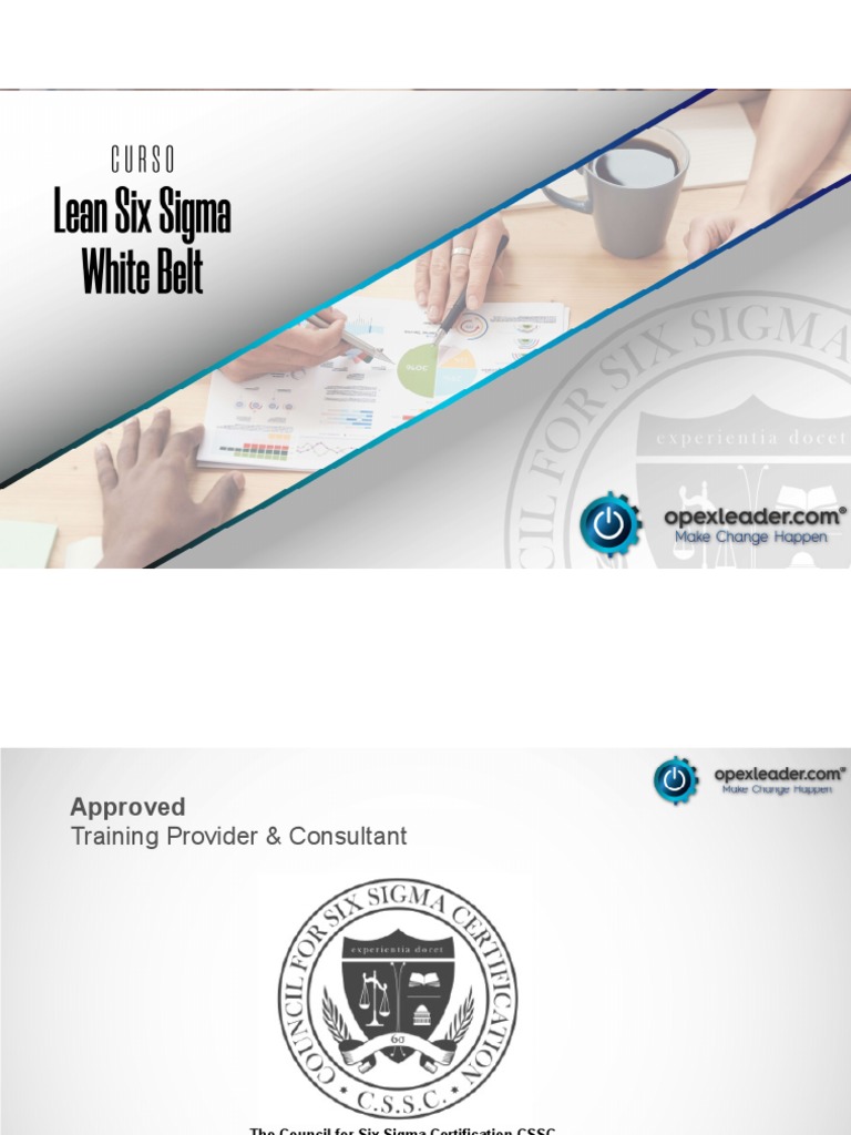 Gestión Visual en Lean Six Sigma | PDF | Lean Manufacturing | Six Sigma