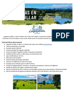 Lagunita-Frutillar-Precios-Noviembre-2020